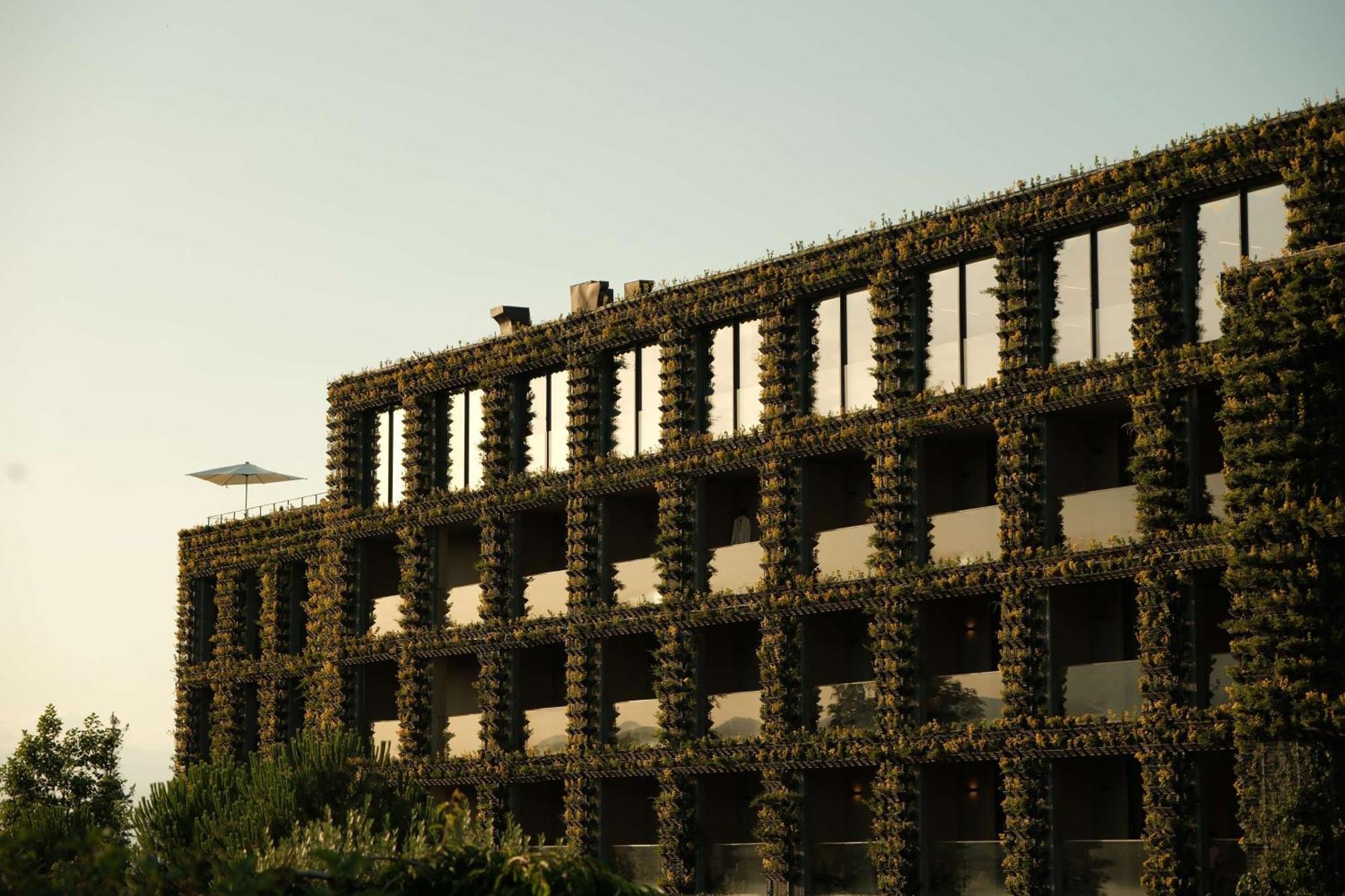 Tsinandali Estate, A Radisson Collection Hotel Exteriér fotografie The green facade of the CaixaForum Madrid